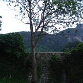 Burgruine_Karlstein_150.JPG