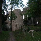 Burgruine_Karlstein_216.JPG