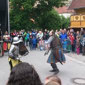 Burgfest-Stein-an-der-Traun-2013-031